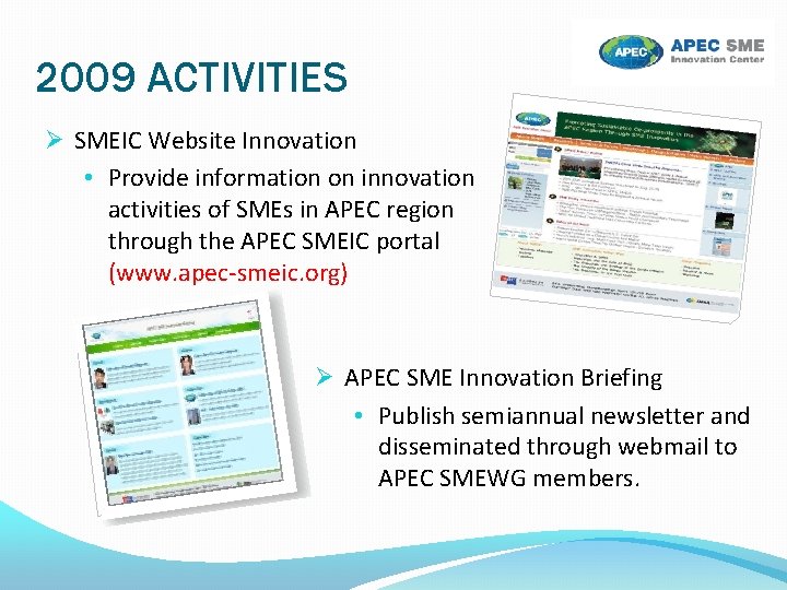 2009 ACTIVITIES SMEIC Website Innovation • Provide information on innovation activities of SMEs in
