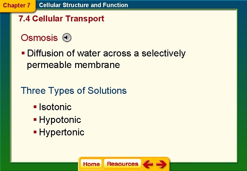 Chapter 7 Cellular Structure and Function 7. 4 Cellular Transport Osmosis § Diffusion of