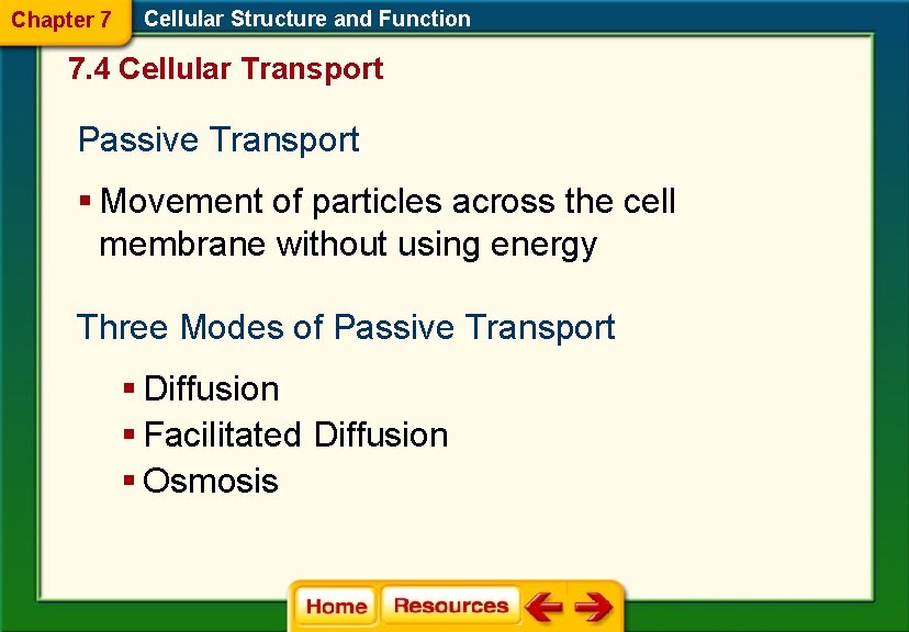 Chapter 7 Cellular Structure and Function 7. 4 Cellular Transport Passive Transport § Movement