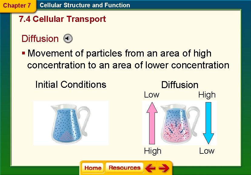 Chapter 7 Cellular Structure and Function 7. 4 Cellular Transport Diffusion § Movement of