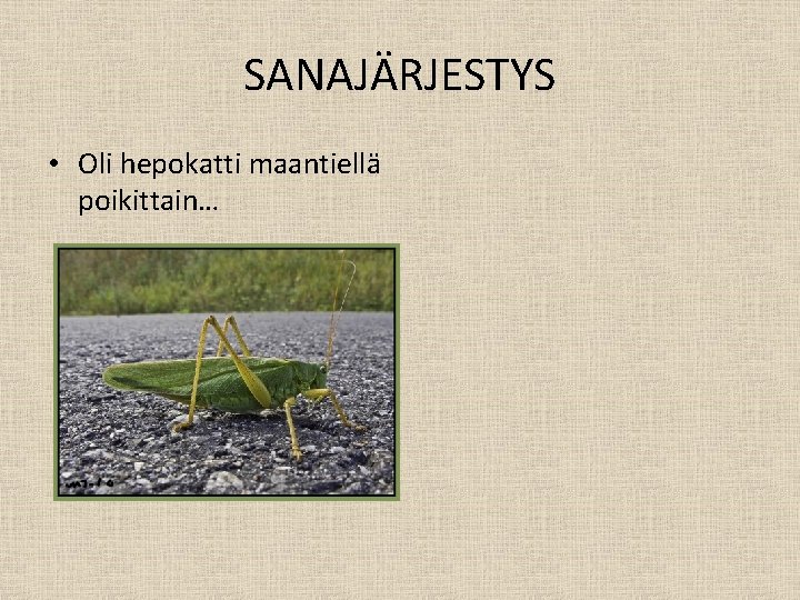 SANAJÄRJESTYS • Oli hepokatti maantiellä poikittain… 