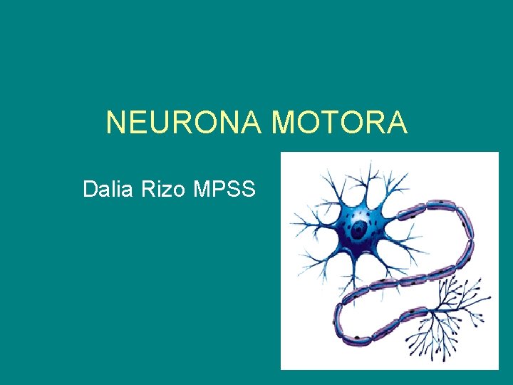 NEURONA MOTORA Dalia Rizo MPSS 
