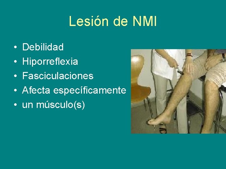 Lesión de NMI • • • Debilidad Hiporreflexia Fasciculaciones Afecta específicamente un músculo(s) 