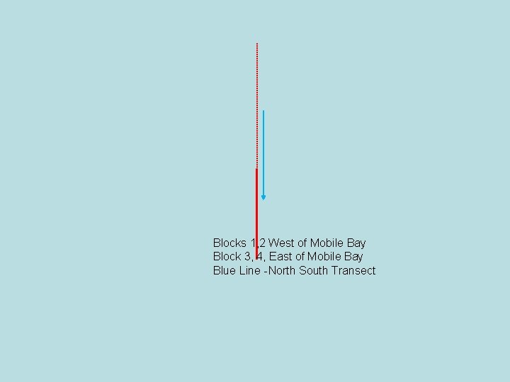 Blocks 1, 2 West of Mobile Bay Block 3, 4, East of Mobile Bay