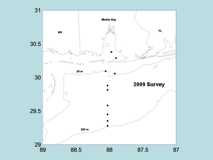 2009 Survey 