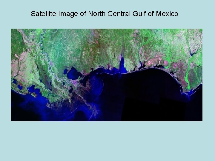 Satellite Image of North Central Gulf of Mexico 