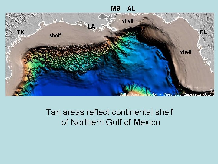 MS TX LA AL shelf FL shelf Tan areas reflect continental shelf of Northern