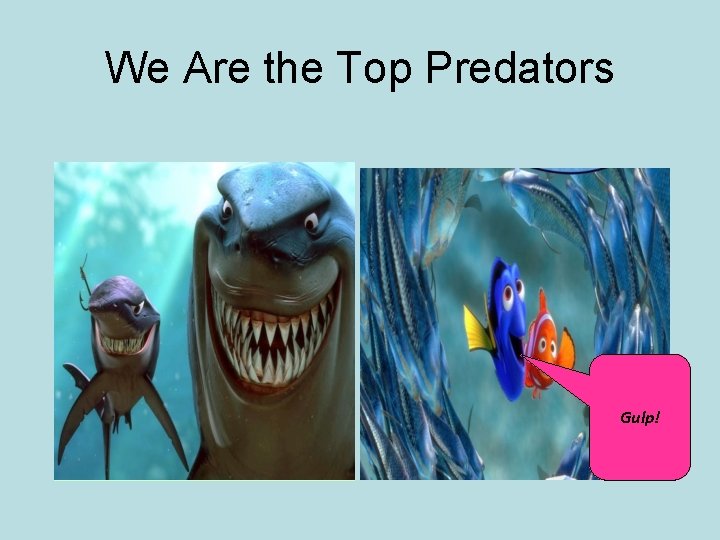 We Are the Top Predators Gulp! 