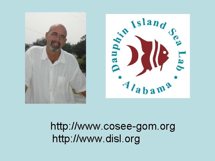 http: //www. cosee-gom. org http: //www. disl. org 