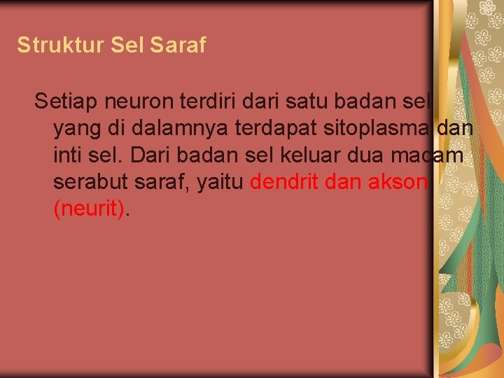 Struktur Sel Saraf Setiap neuron terdiri dari satu badan sel yang di dalamnya terdapat