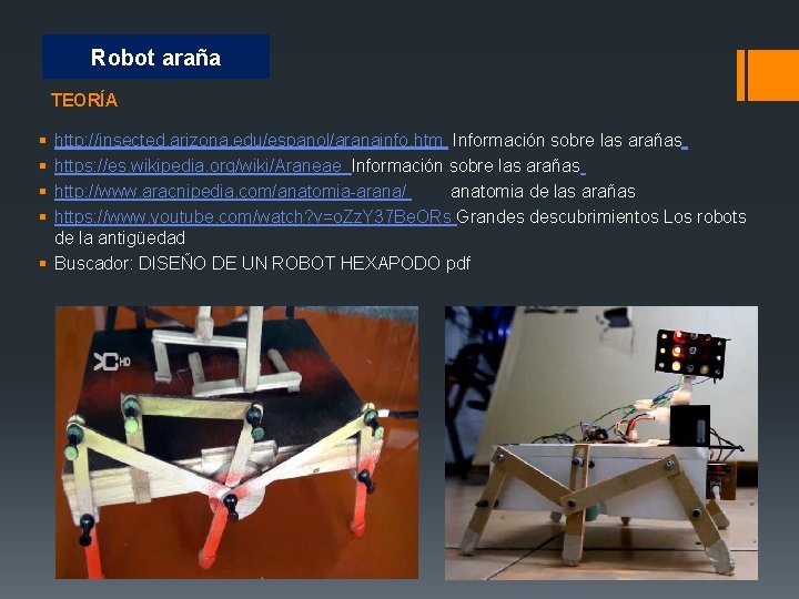 Robot araña TEORÍA § § http: //insected. arizona. edu/espanol/aranainfo. htm Información sobre las arañas