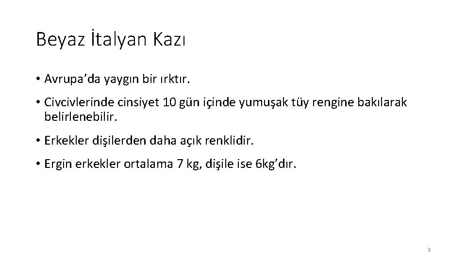 Beyaz İtalyan Kazı • Avrupa’da yaygın bir ırktır. • Civcivlerinde cinsiyet 10 gün içinde