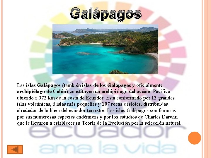 Galápagos Las islas Galápagos (también islas de los Galápagos y oficialmente archipiélago de Colón)