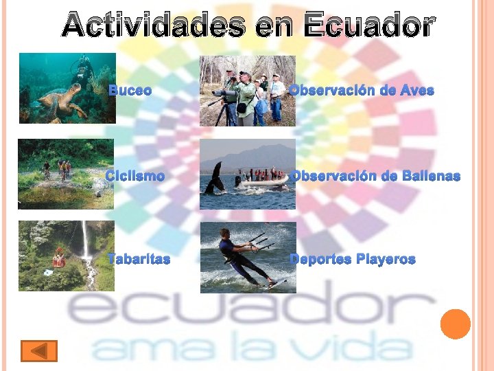 Actividades en Ecuador Buceo Observación de Aves Ciclismo Observación de Ballenas Tabaritas Deportes Playeros