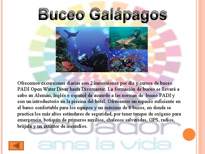 Buceo Galápagos Ofrecemos excursiones diarias con 2 inmersiones por día y cursos de buceo