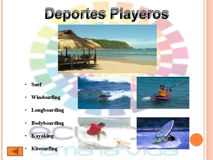 Deportes Playeros • Surf • Windsurfing • Longboarding • Bodyboarding • Kayaking • Kitesurfing