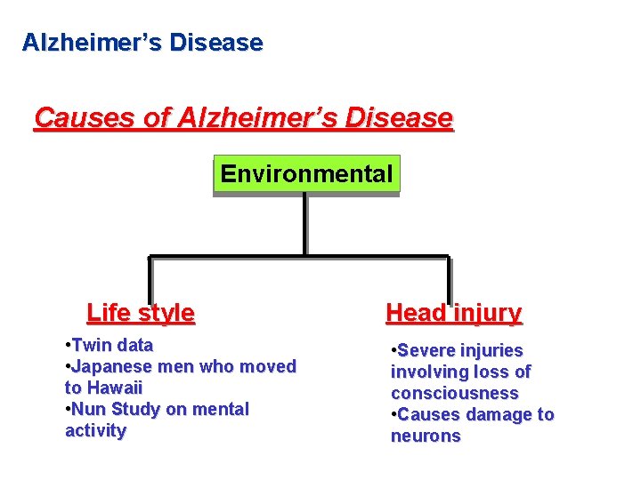 Alzheimer’s Disease Causes of Alzheimer’s Disease Environmental Life style • Twin data • Japanese Alzheimer’s Disease Causes of Alzheimer’s Disease Environmental Life style • Twin data • Japanese