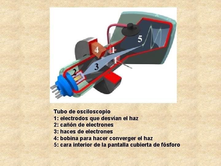Tubo de osciloscopio 1: electrodos que desvían el haz 2: cañón de electrones 3: