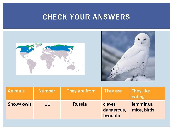 CHECK YOUR ANSWERS Animals Snowy owls Number They are from 11 Russia They are