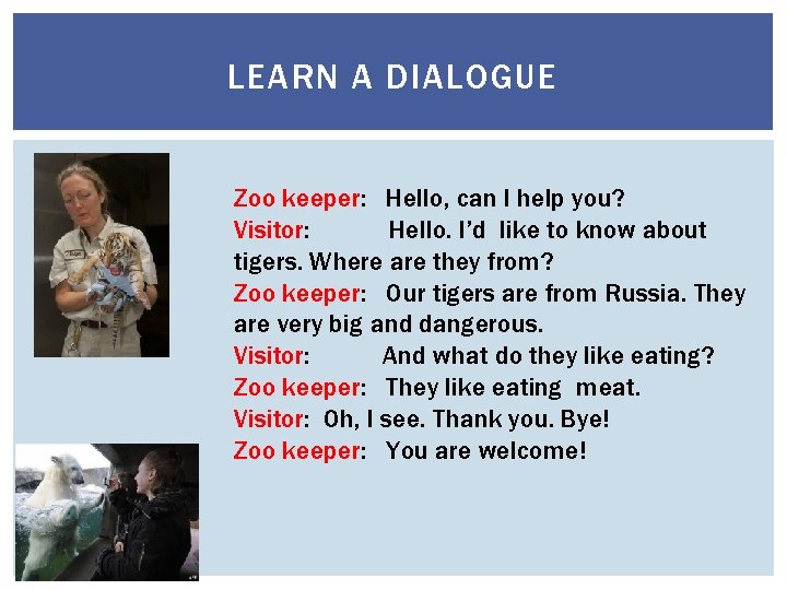 LEARN A DIALOGUE Zoo keeper: Hello, can I help you? Visitor: Hello. I’d like