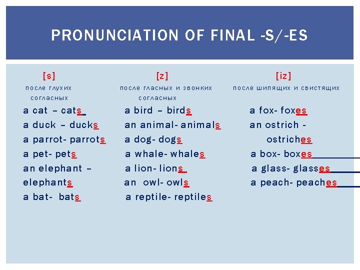 PRONUNCIATION OF FINAL -S/-ES [s] после глухих согласных a cat – cats a duck