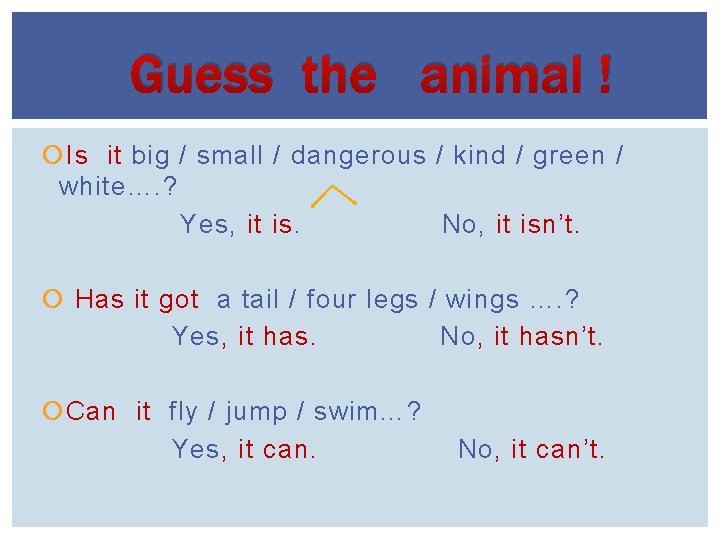Guess the animal ! Is it big / small / dangerous / kind /