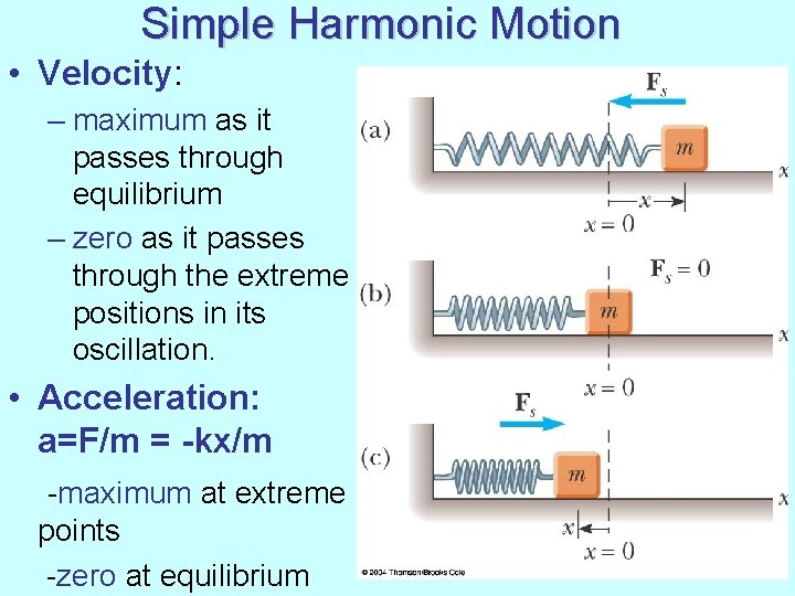 Simple Harmonic Motion • Velocity: – maximum as it passes through equilibrium – zero