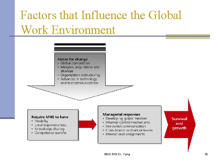 Factors that Influence the Global Work Environment IBUS 618 Dr. Yang 18 