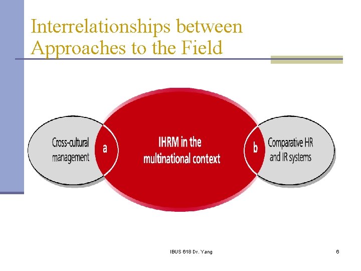 Interrelationships between Approaches to the Field IBUS 618 Dr. Yang 6 