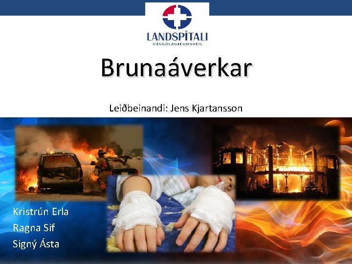 Brunaáverkar Leiðbeinandi: Jens Kjartansson Kristrún Erla Ragna Sif Signý Ásta 