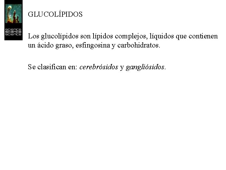 GLUCOLÍPIDOS Los glucolípidos son lípidos complejos, líquidos que contienen un ácido graso, esfingosina y