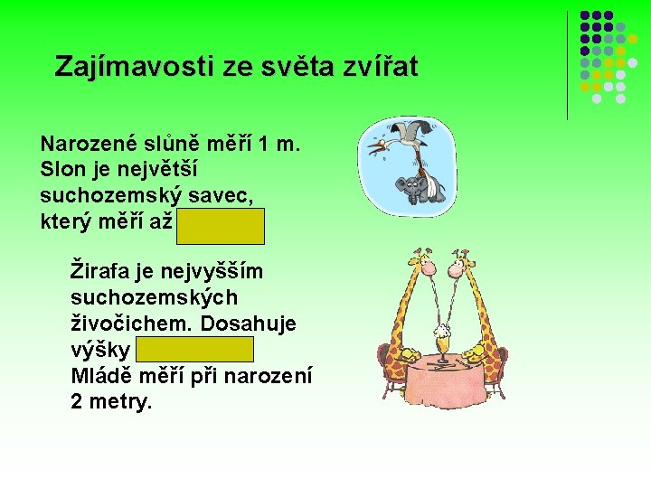 Zajímavosti ze světa zvířat Narozené slůně měří 1 m. Slon je největší suchozemský savec,