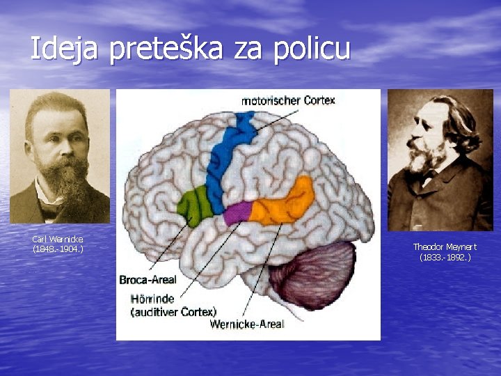 Ideja preteška za policu Carl Wernicke (1848. -1904. ) Theodor Meynert (1833. -1892. )