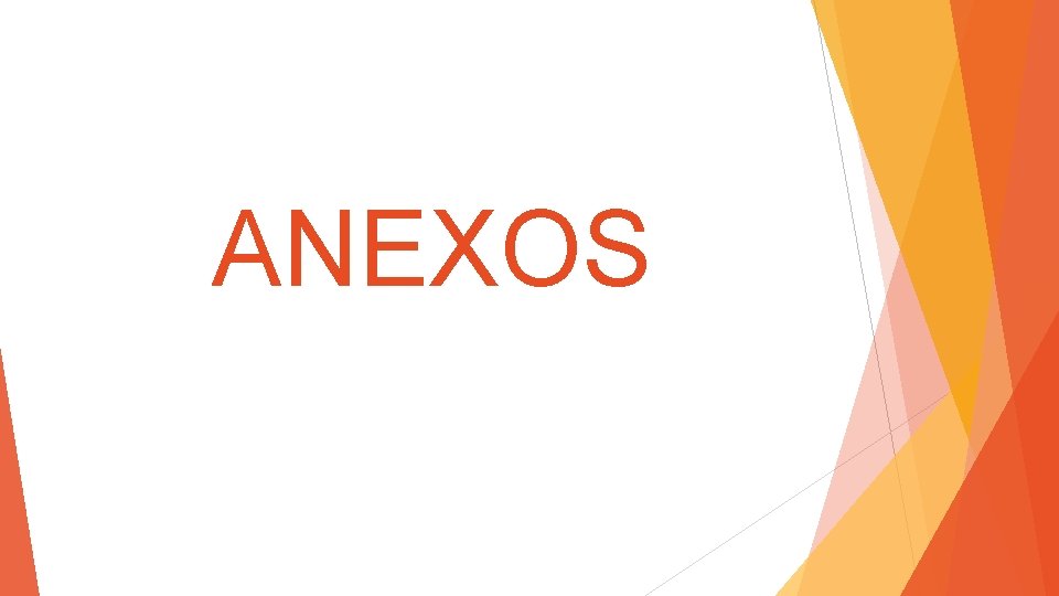 ANEXOS 