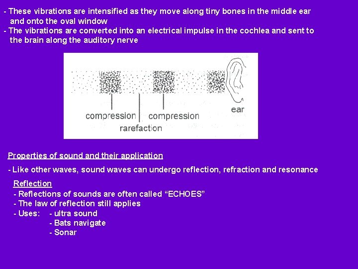 - These vibrations are intensified as they move along tiny bones in the middle