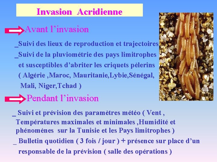 Invasion Acridienne Avant l’invasion _Suivi des lieux de reproduction et trajectoires _Suivi de la