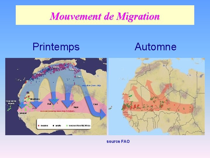 Mouvement de Migration Printemps Automne source FAO 