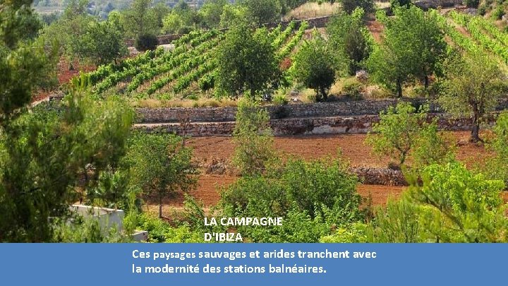 LA CAMPAGNE D'IBIZA Ces paysages sauvages et arides tranchent avec la modernité des stations LA CAMPAGNE D'IBIZA Ces paysages sauvages et arides tranchent avec la modernité des stations