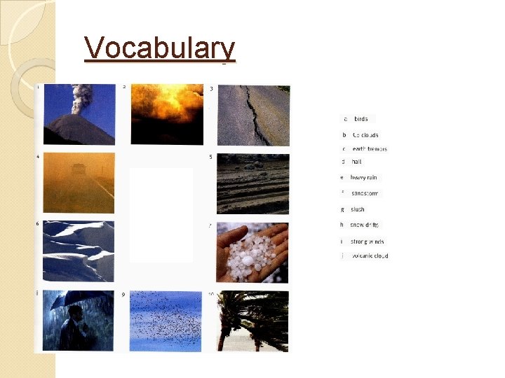 Vocabulary Vocabulary