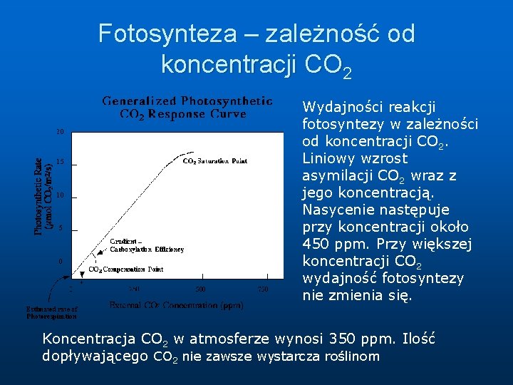 Fotosynteza – zależność od koncentracji CO 2 Wydajności reakcji fotosyntezy w zależności od koncentracji