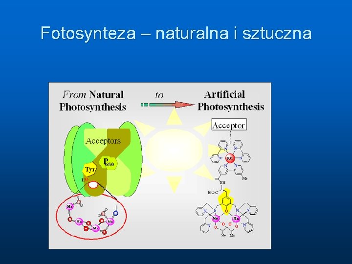 Fotosynteza – naturalna i sztuczna 