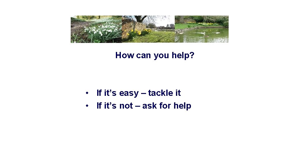 How can you help? • If it’s easy – tackle it • If it’s