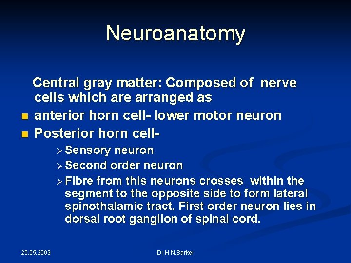 Neuroanatomy Central gray matter: Composed of nerve cells which are arranged as n anterior