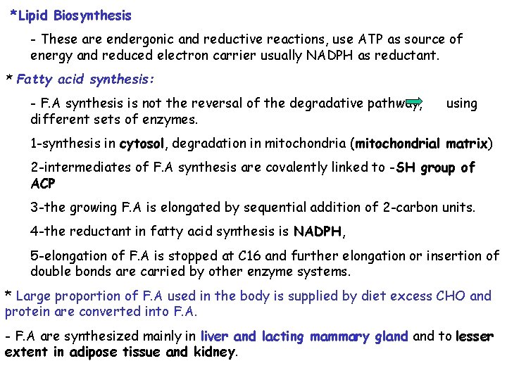 *Lipid Biosynthesis - These are endergonic and reductive reactions, use ATP as source of