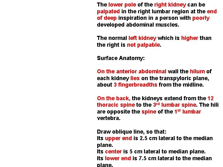 The lower pole of the right kidney can be palpated in the right lumbar