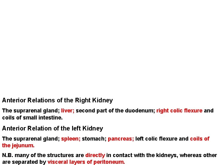 Anterior Relations of the Right Kidney The suprarenal gland; liver; second part of the