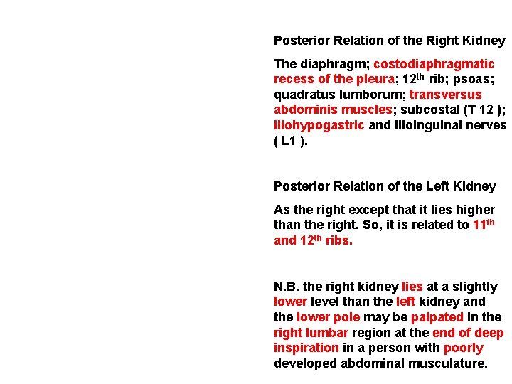 Posterior Relation of the Right Kidney The diaphragm; costodiaphragmatic recess of the pleura; 12
