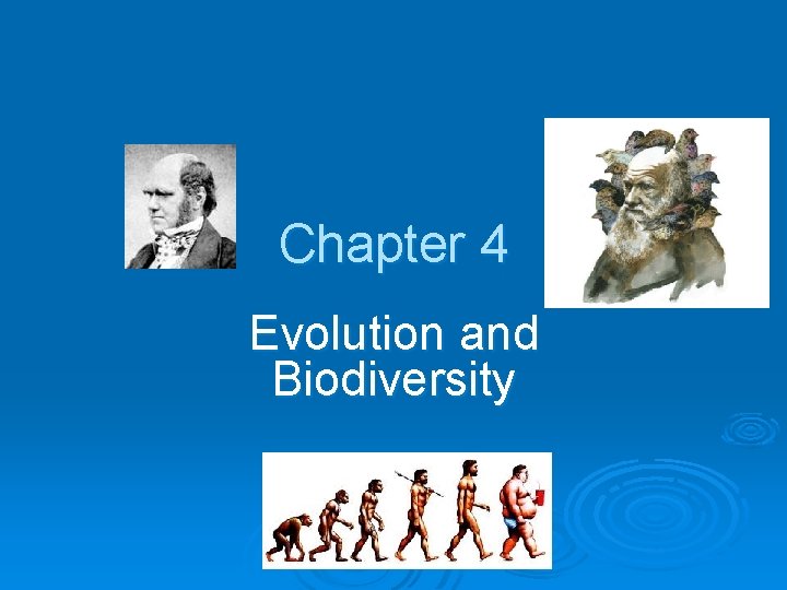 Chapter 4 Evolution and Biodiversity 