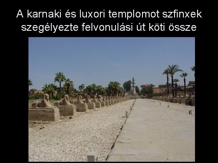 A karnaki és luxori templomot szfinxek szegélyezte felvonulási út köti össze 