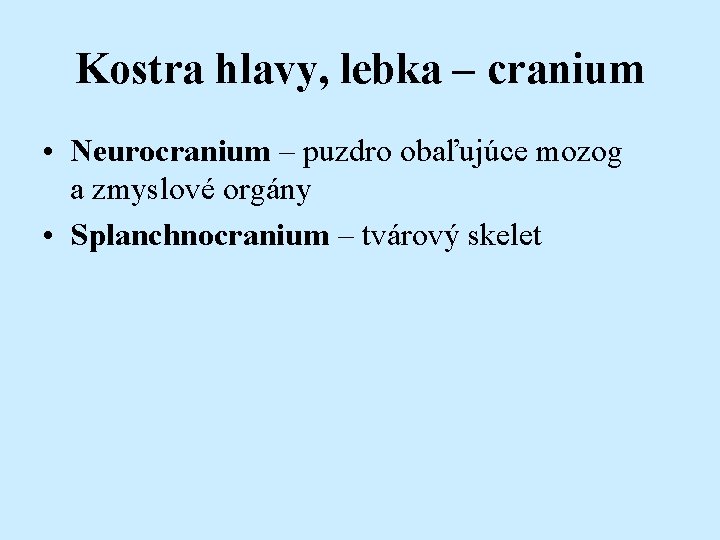 Kostra hlavy, lebka – cranium • Neurocranium – puzdro obaľujúce mozog a zmyslové orgány